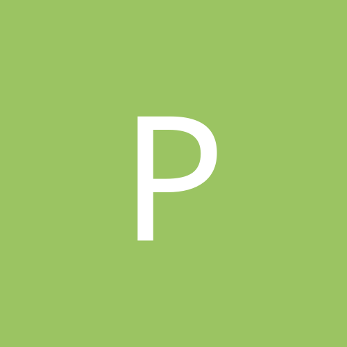 pimpolho